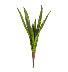 23" Snake plant stem f4002015