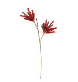 Botanical 3163