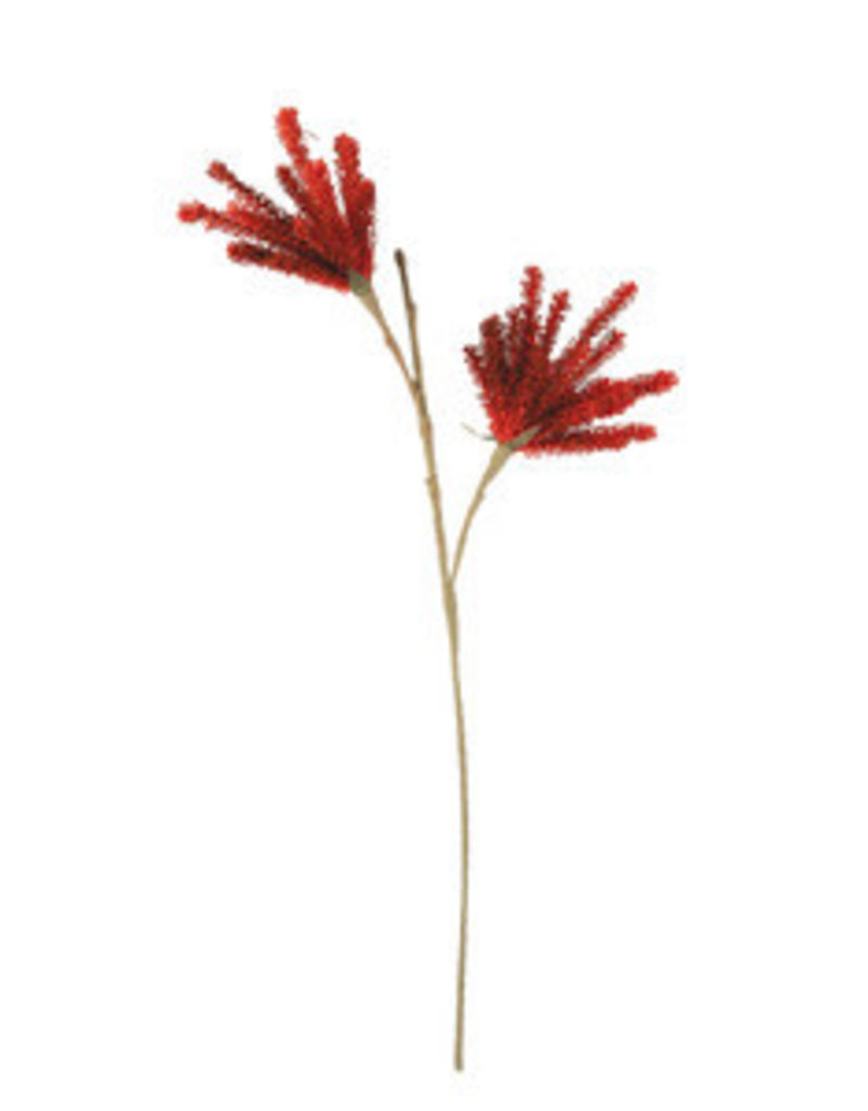Botanical 3163