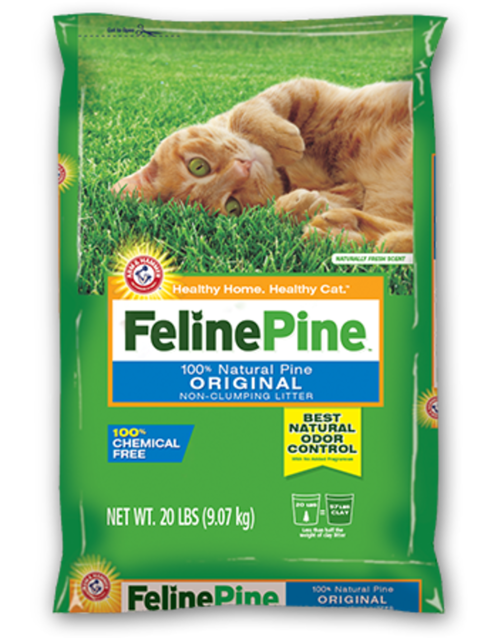 thunder paws cat litter