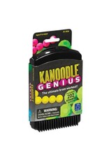 Educational Insights Kanoodle Genius