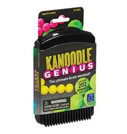 Educational Insights Kanoodle Genius