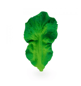 Oli & Carol Kendall the Kale Teether