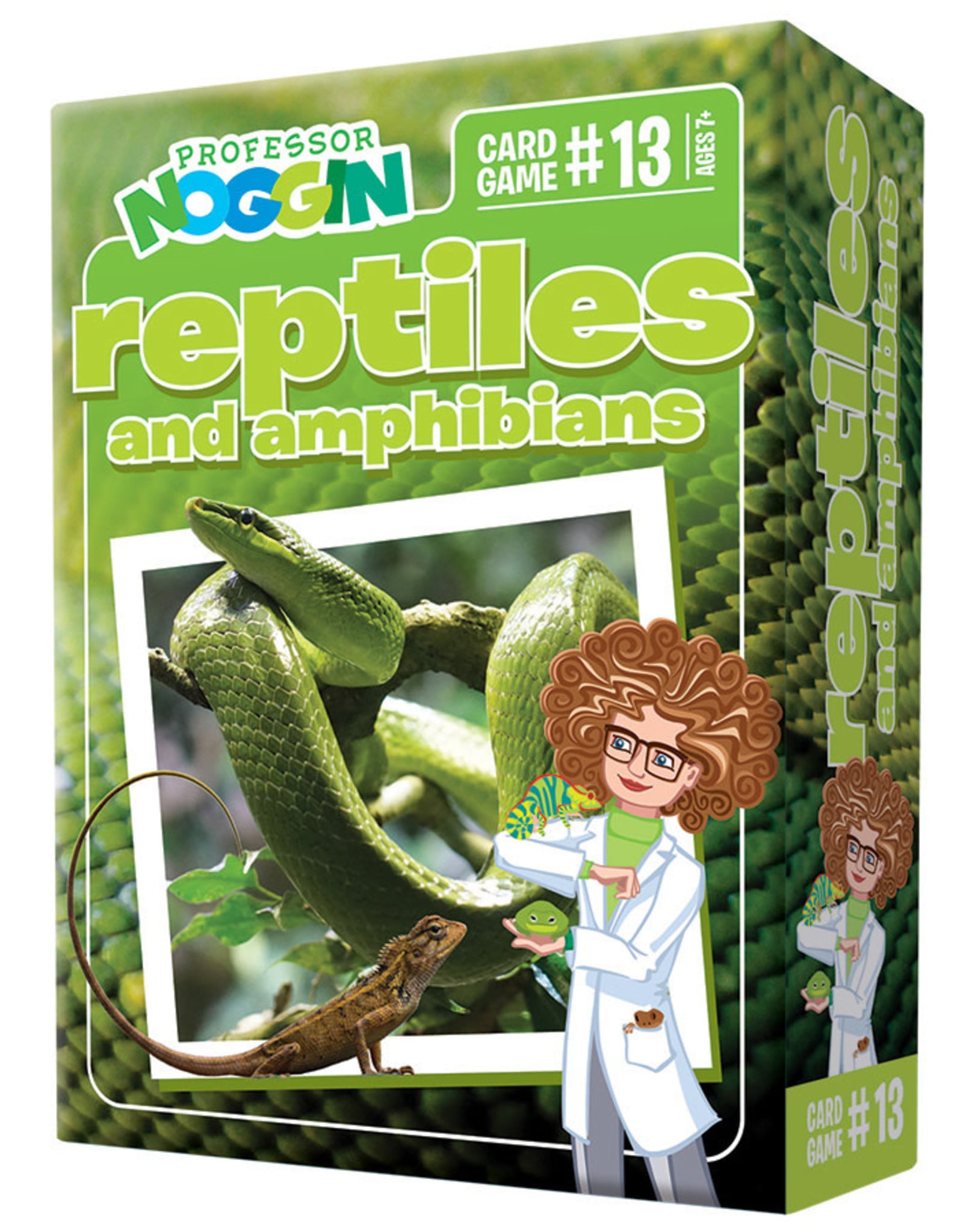 Professor Noggin Professor Noggin Reptiles and Amphibians Card Game