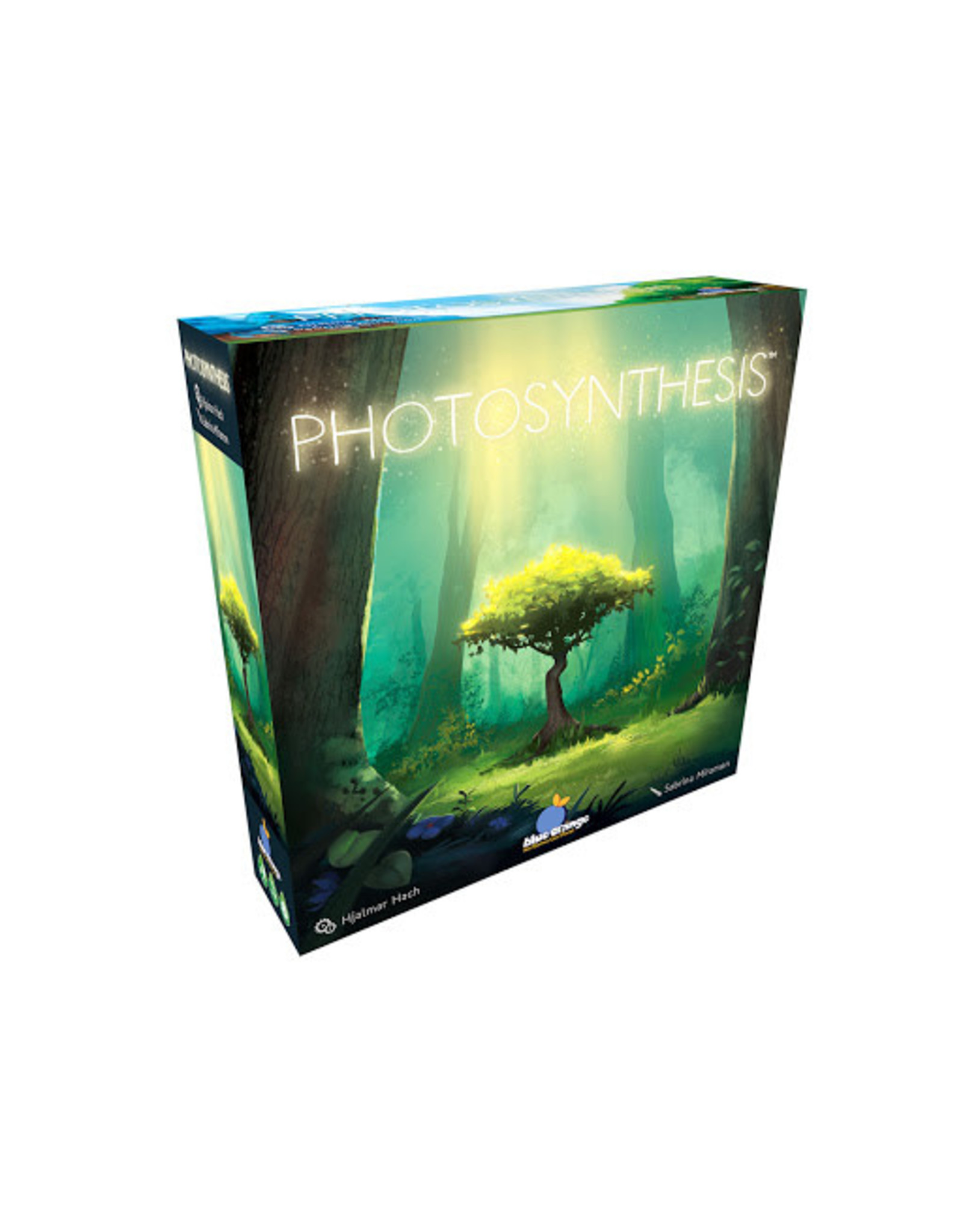 Blue Orange Photosynthesis