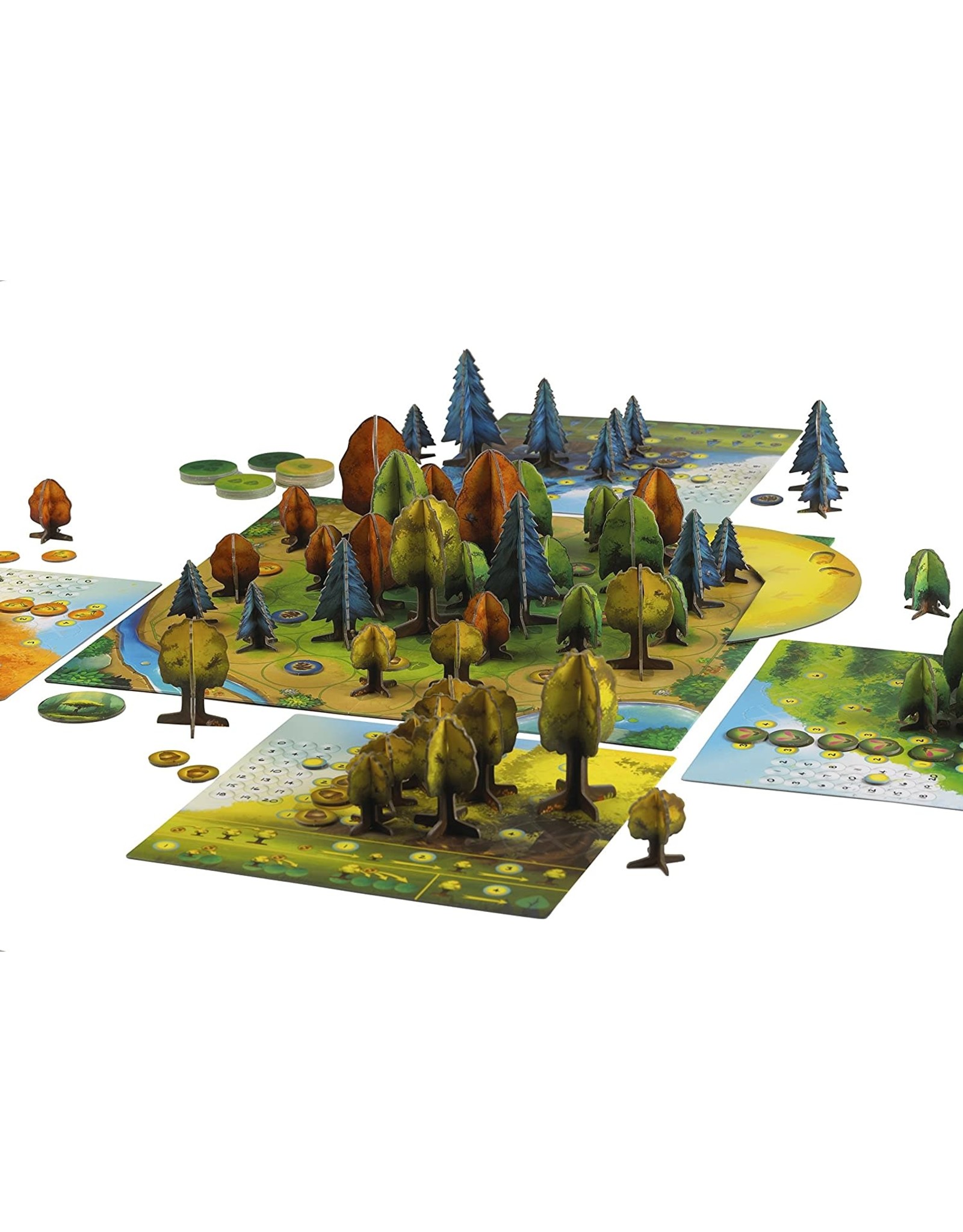 Blue Orange Photosynthesis