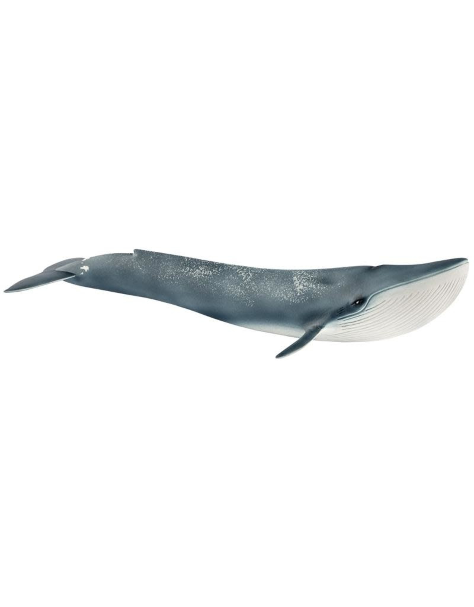 Schleich Blue Whale