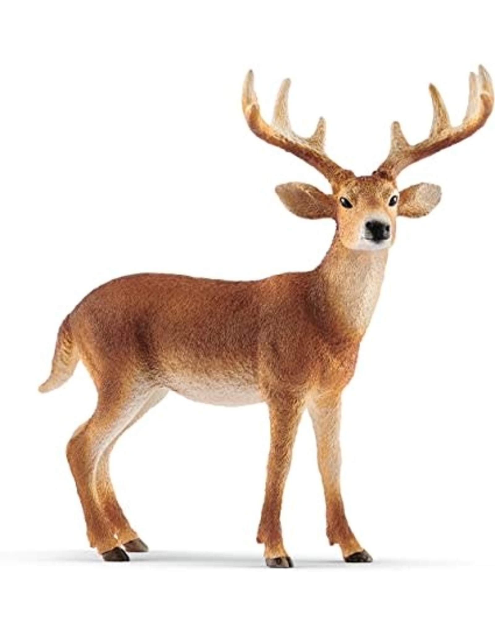 Schleich White-Tailed Buck