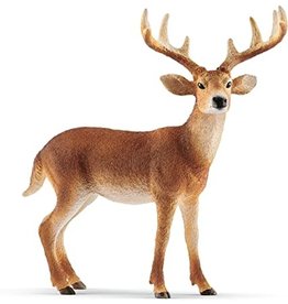 Schleich White-Tailed Buck