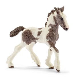 Schleich Tinker Foal