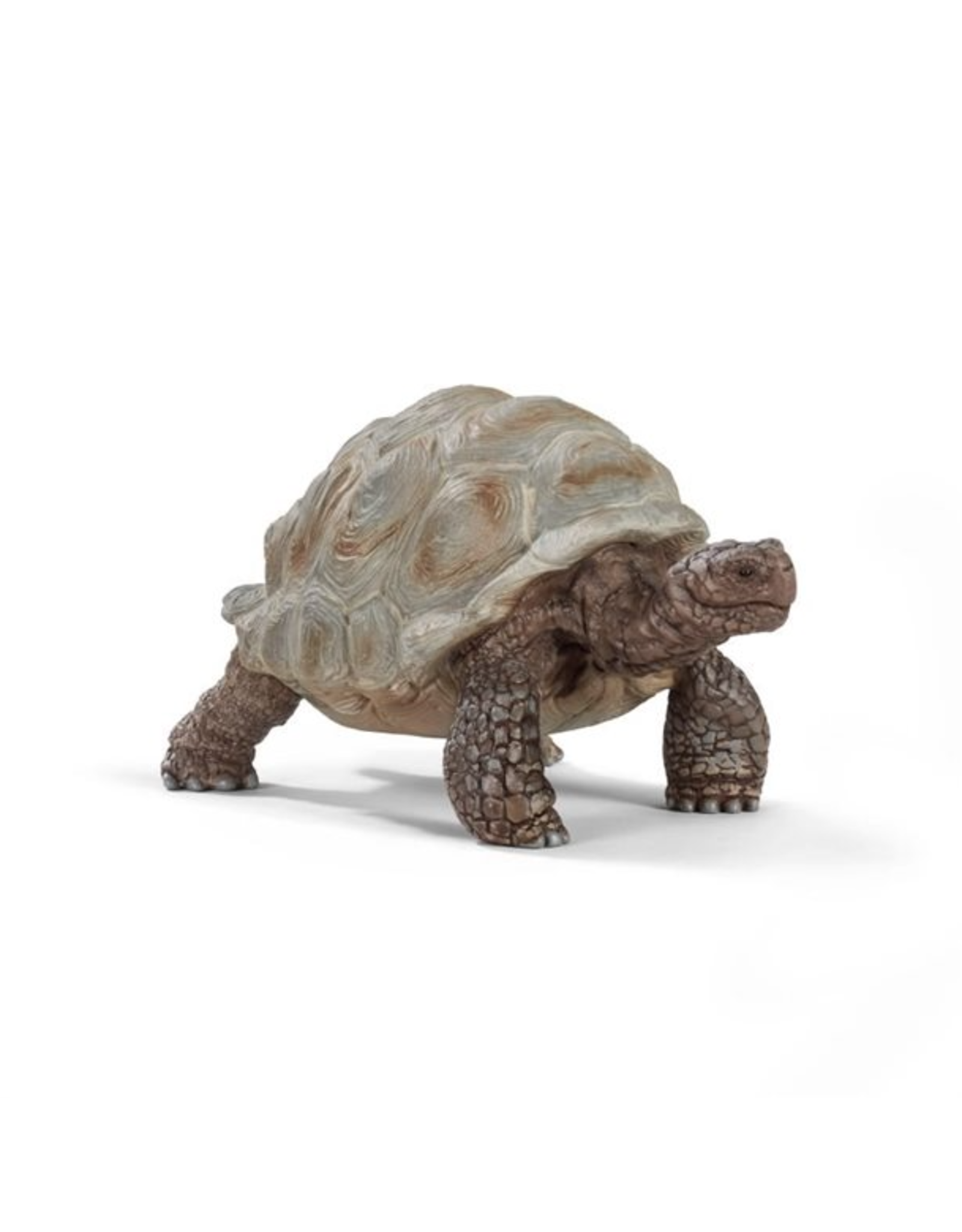 Schleich Giant Tortoise
