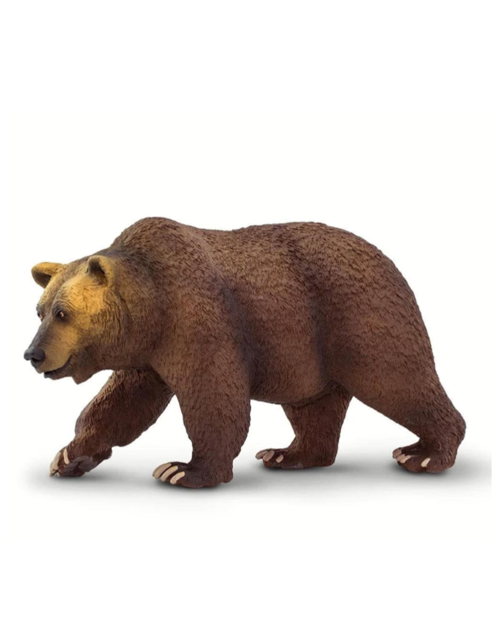 Safariology Grizzly Bear