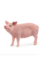 Schleich Pig