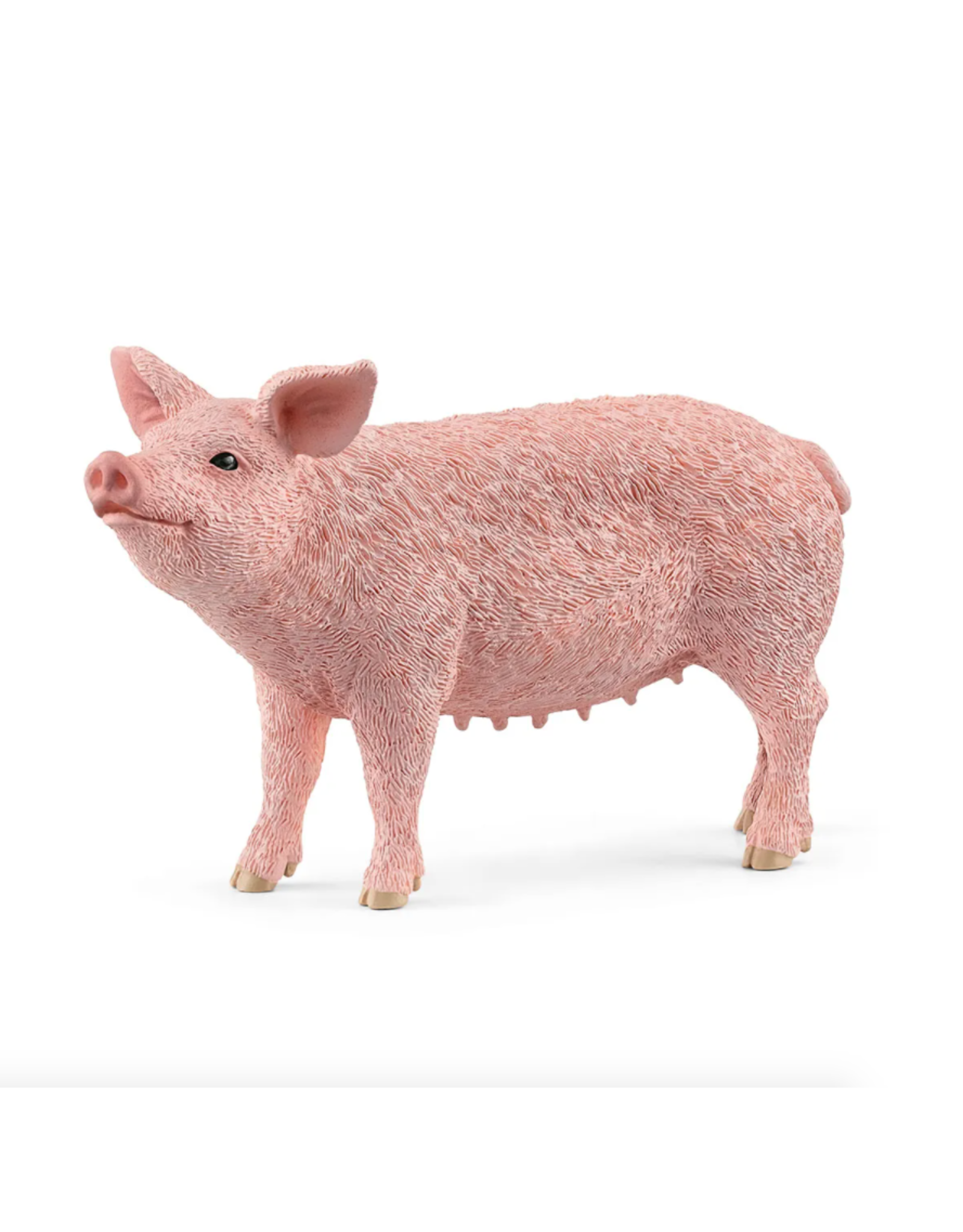 Schleich Pig