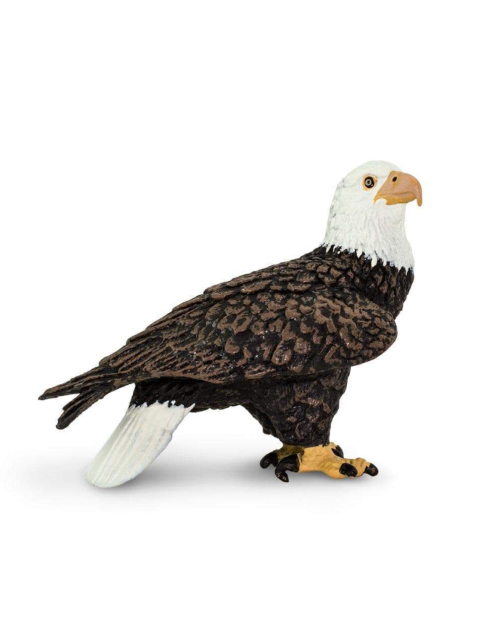 Safariology Bald Eagle