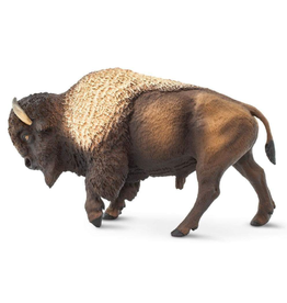 Safariology Bison