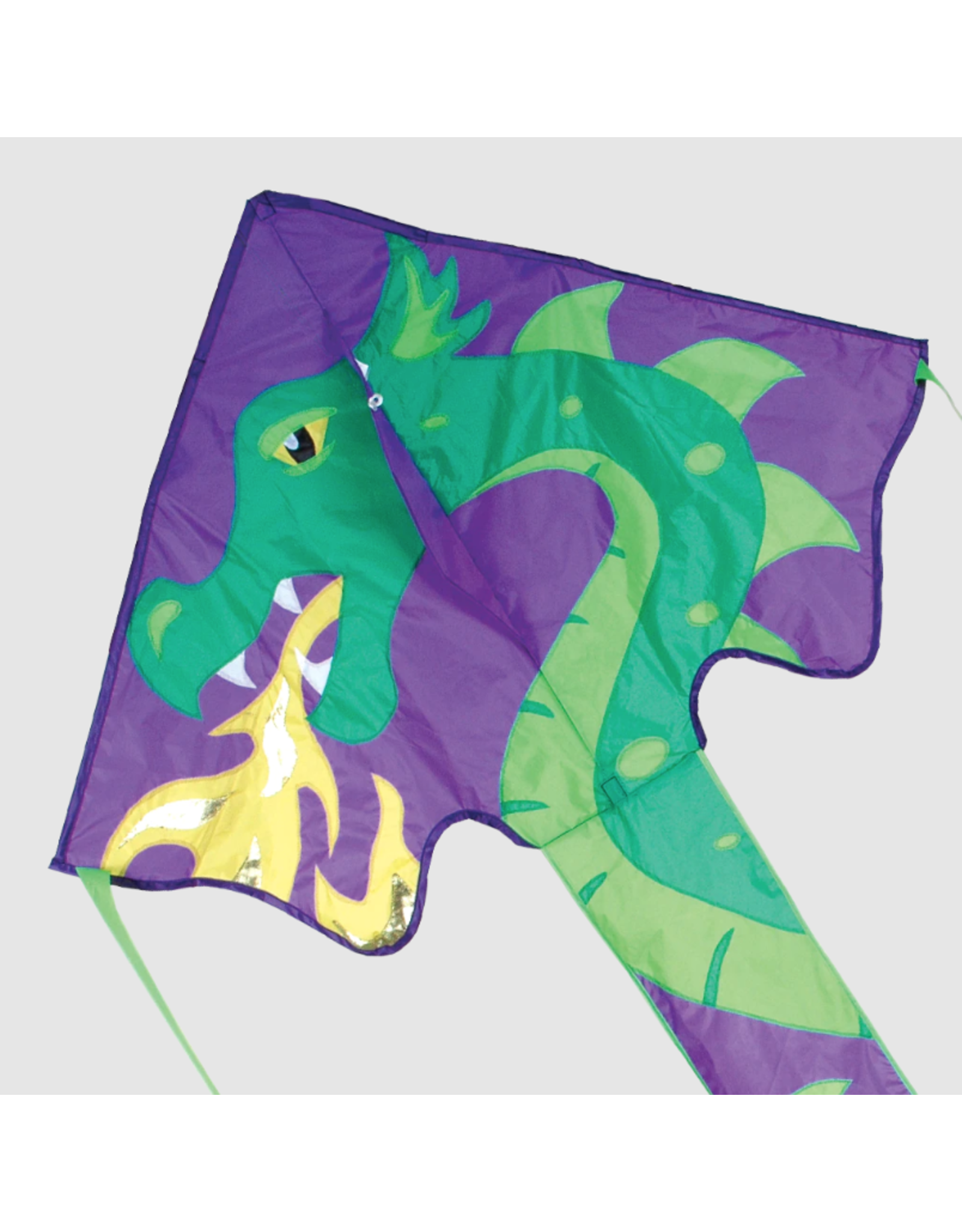 Premier Kites Large Easy Flyer Kite, Skylar Dragon