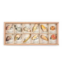 Grapat Wood Wild 12pcs with Tray