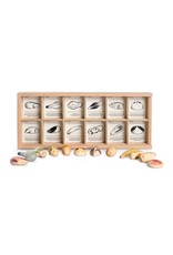 Grapat Wood Wild 12pcs with Tray