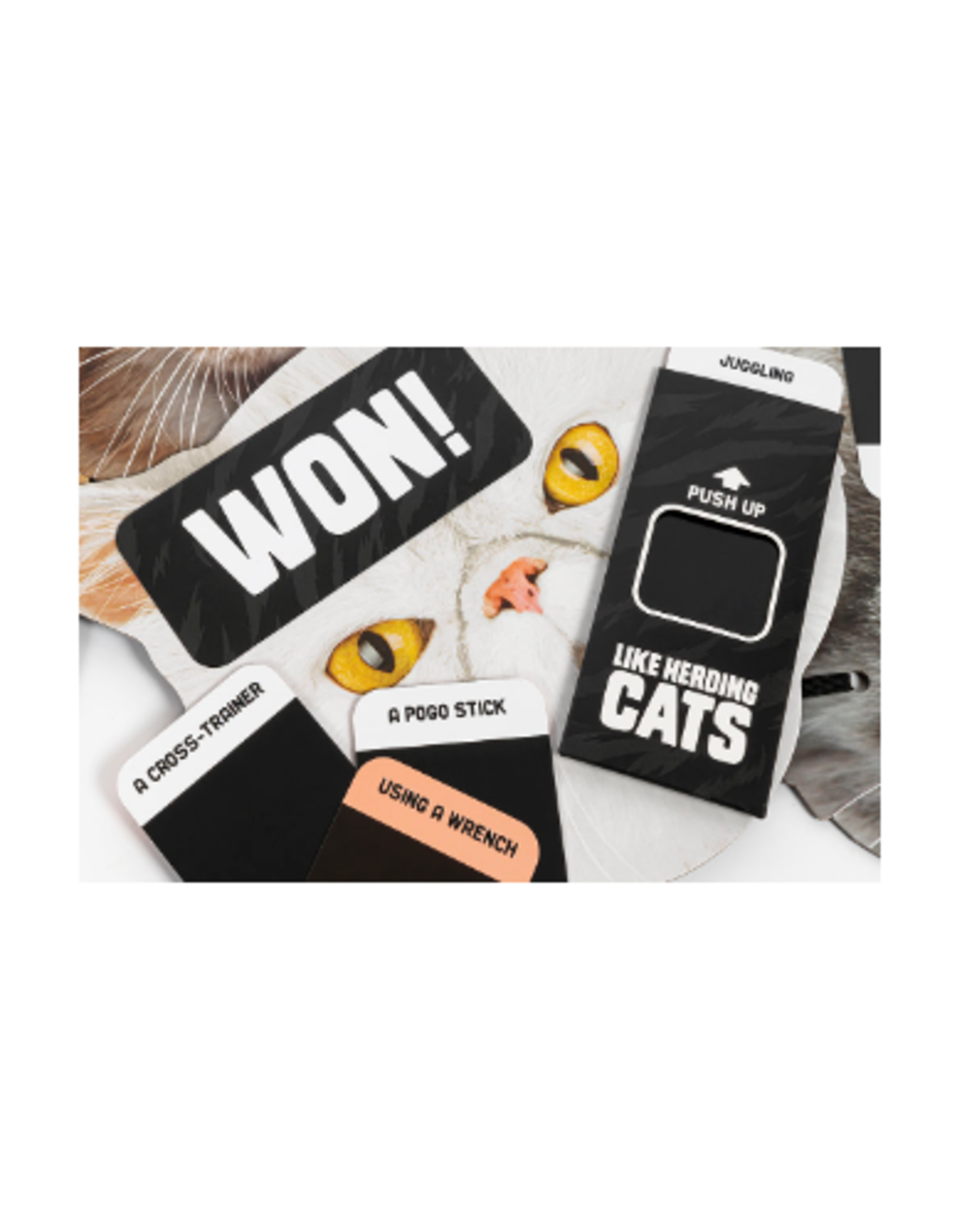 Herding Cats Puzzle