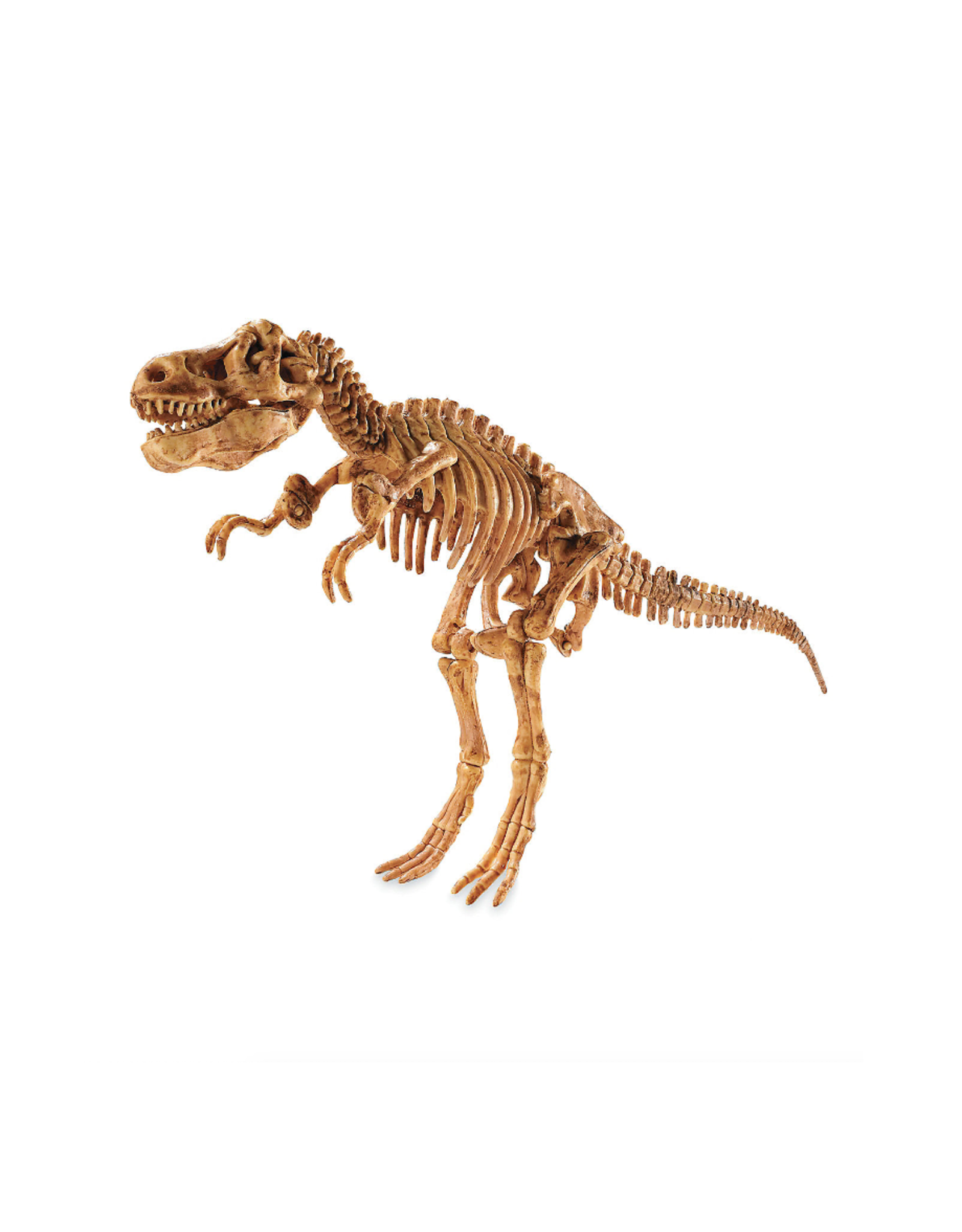 MindWare Dig It Up! Tyrannosaurus Rex