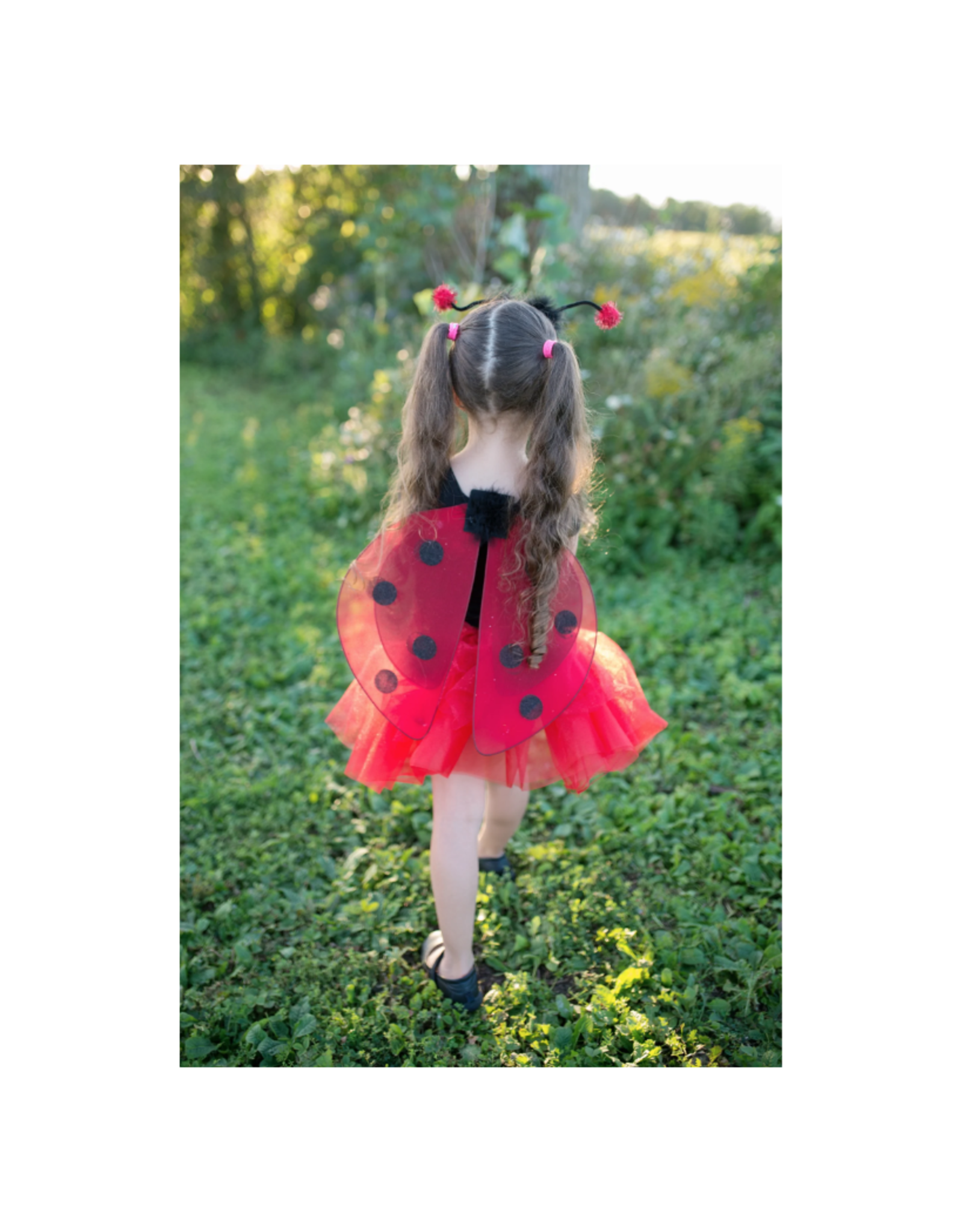 Great Pretenders Glitter Ladybug Set 4-6