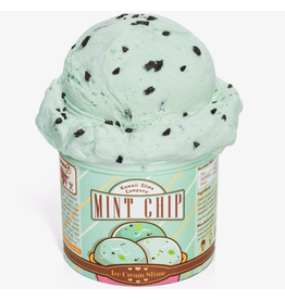 Kawaii Slime Mint Chip Scented Ice Cream Pint Slime