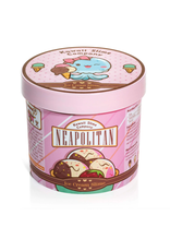 Kawaii Slime Neapolitan Scented Ice  Cream Pint Slime