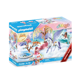 Playmobil Picnic with Pegasus Carriage