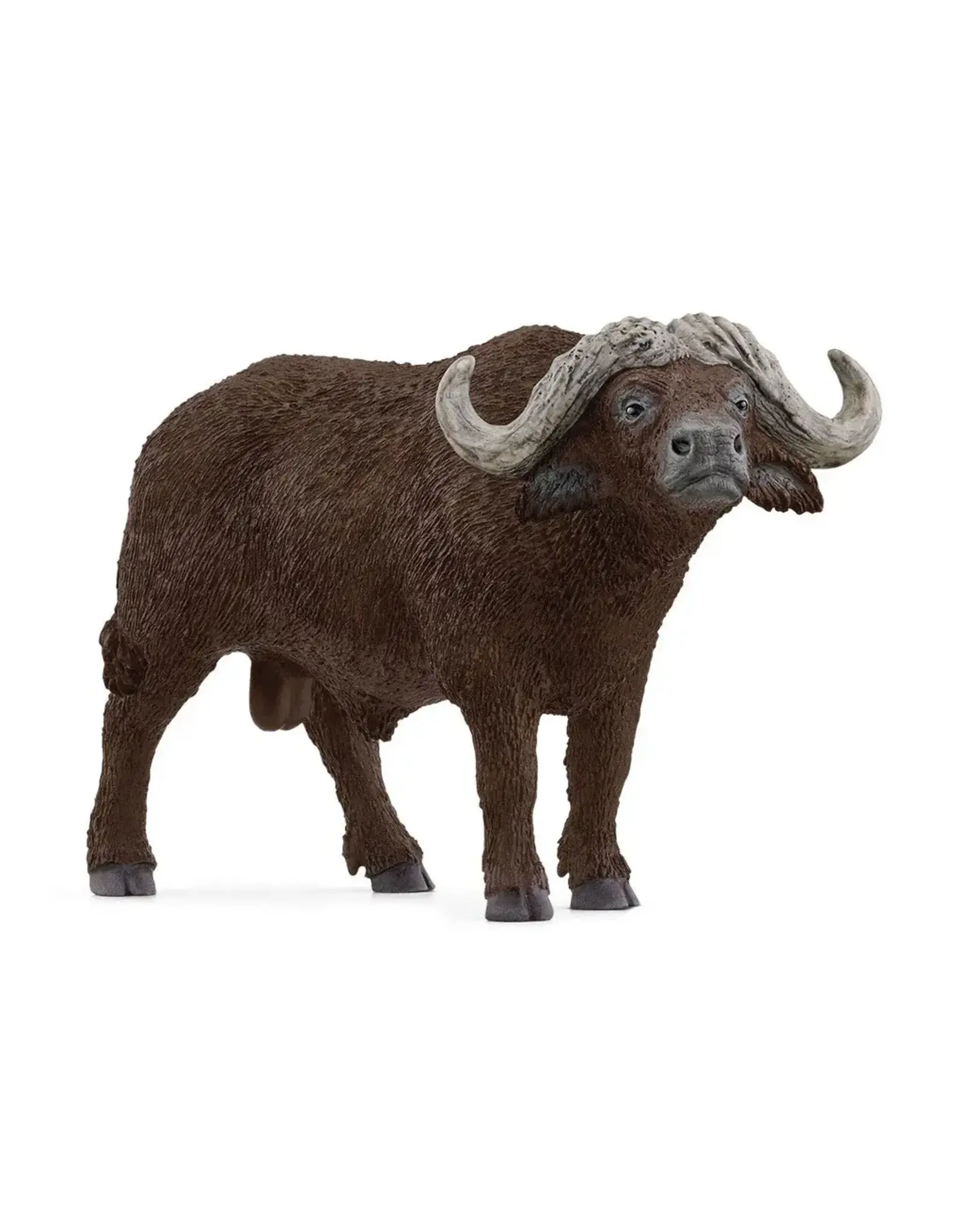 Schleich African Buffalo