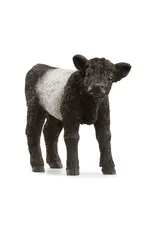 Schleich Galloway Calf