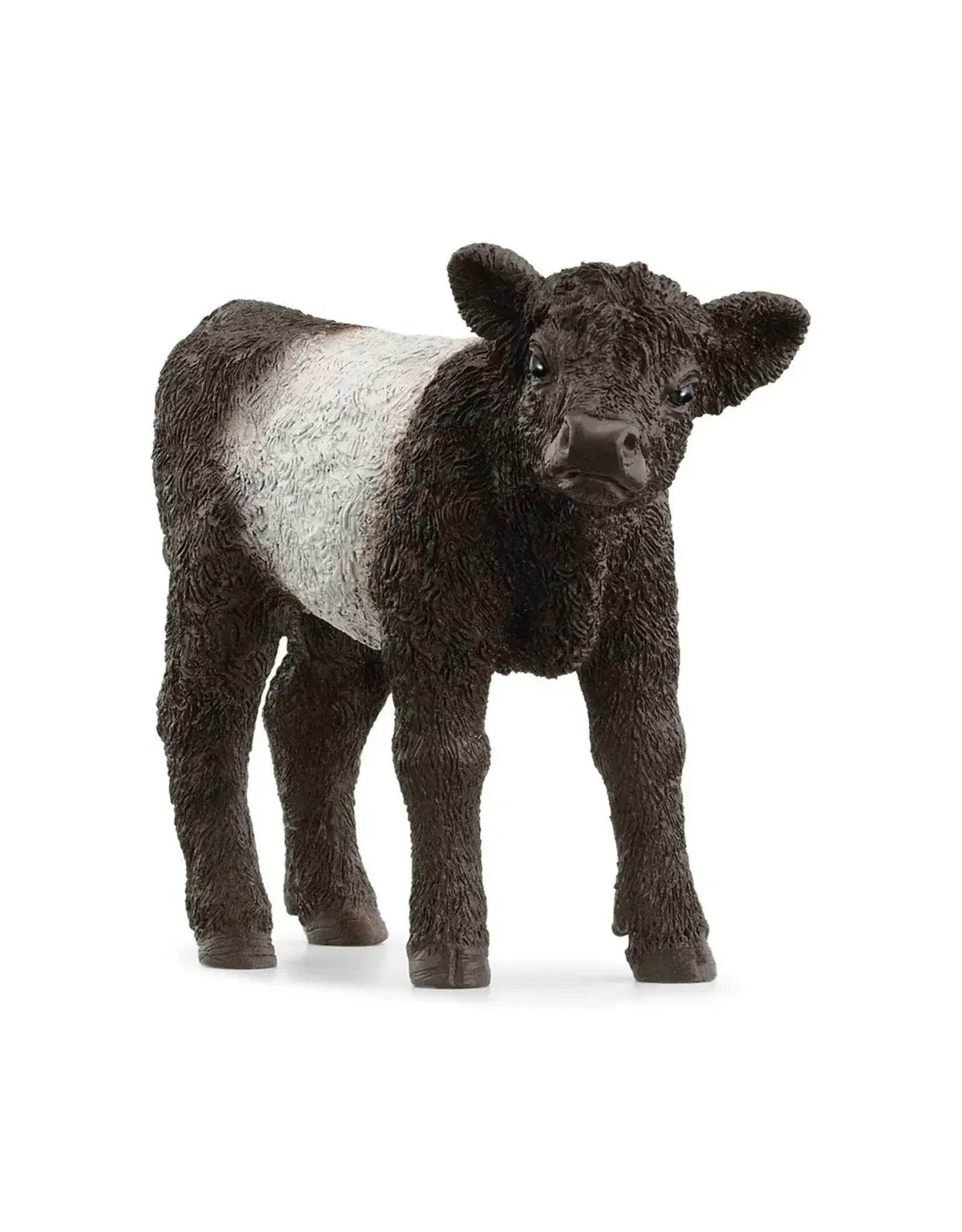Schleich Galloway Calf