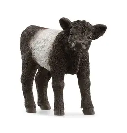 Schleich Galloway Calf