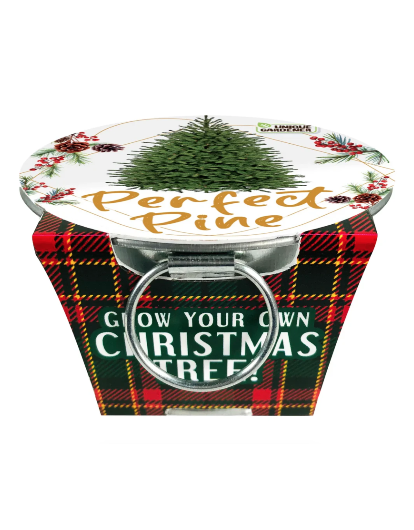 Silver Circle Products Perfect Pine Grow Your Own Christmas Tree