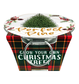 Silver Circle Products Perfect Pine Grow Your Own Christmas Tree