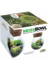 Silver Circle Products MossBowl Grow Your Own Oasis Silver Circle Products MossBowl Grow Your Own Oasis
