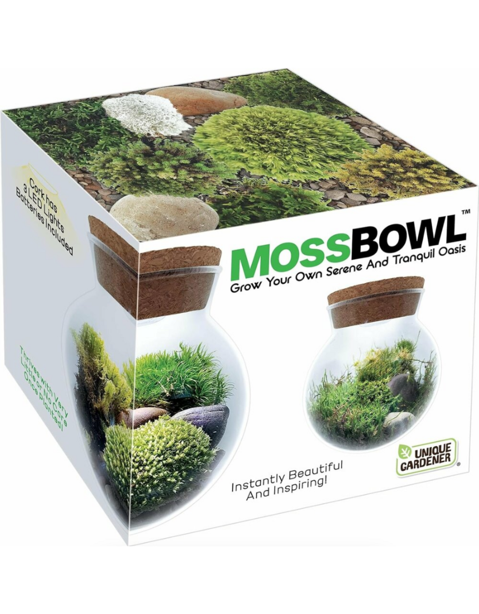 Silver Circle Products MossBowl Grow Your Own Oasis