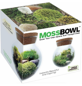 Silver Circle Products MossBowl Grow Your Own Oasis
