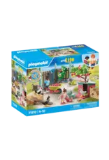 Playmobil Little Chicken Farm In The Tiny House Garden