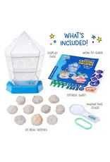 Wow in the World Wow in the World: Break-Open Crystal Geodes
