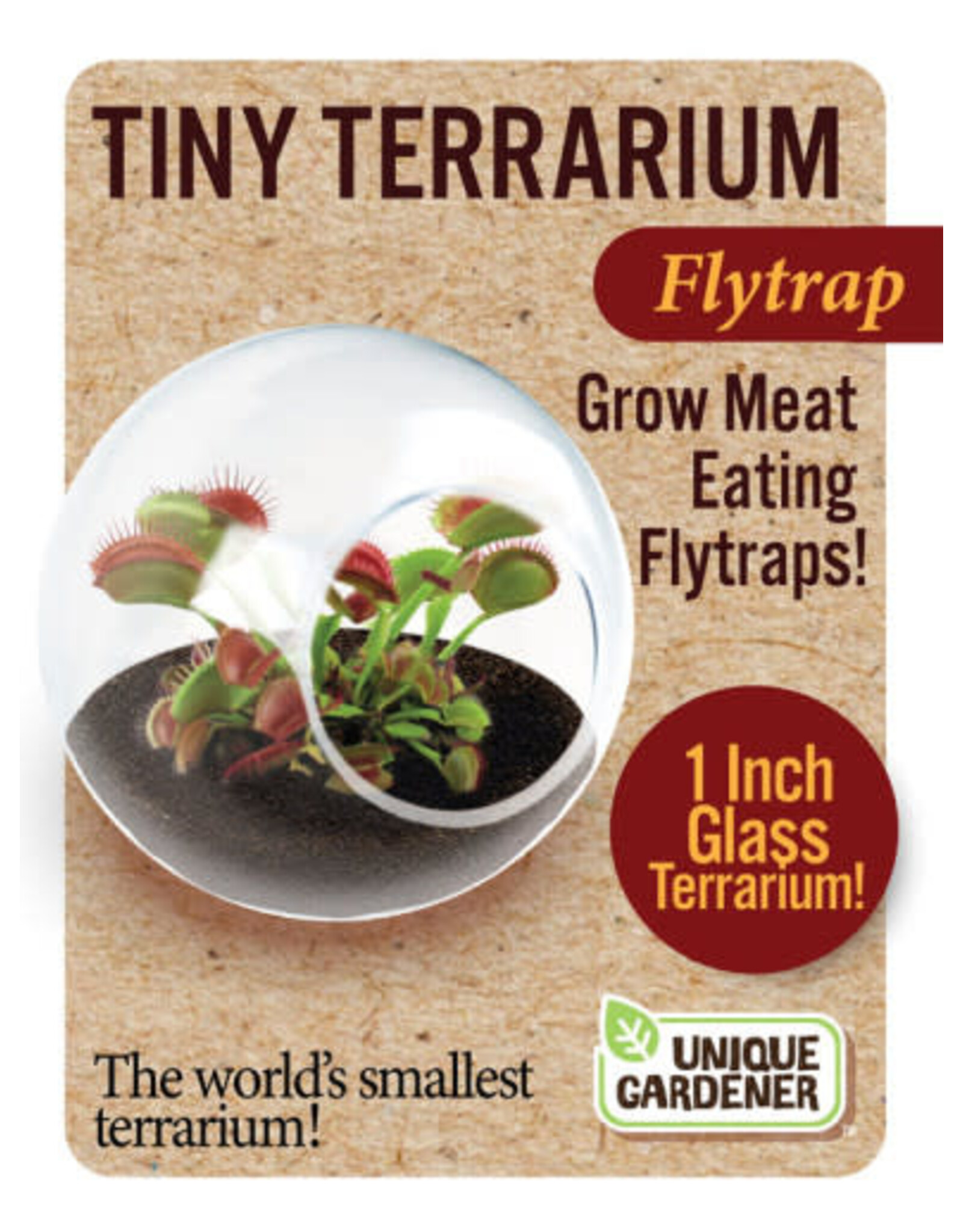 Unique Gardner Tiny Terrarium Flytrap