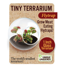 Unique Gardner Tiny Terrarium Flytrap