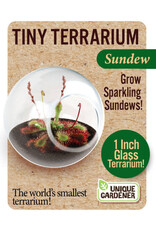 Unique Gardner Tiny Terrarium Sundew