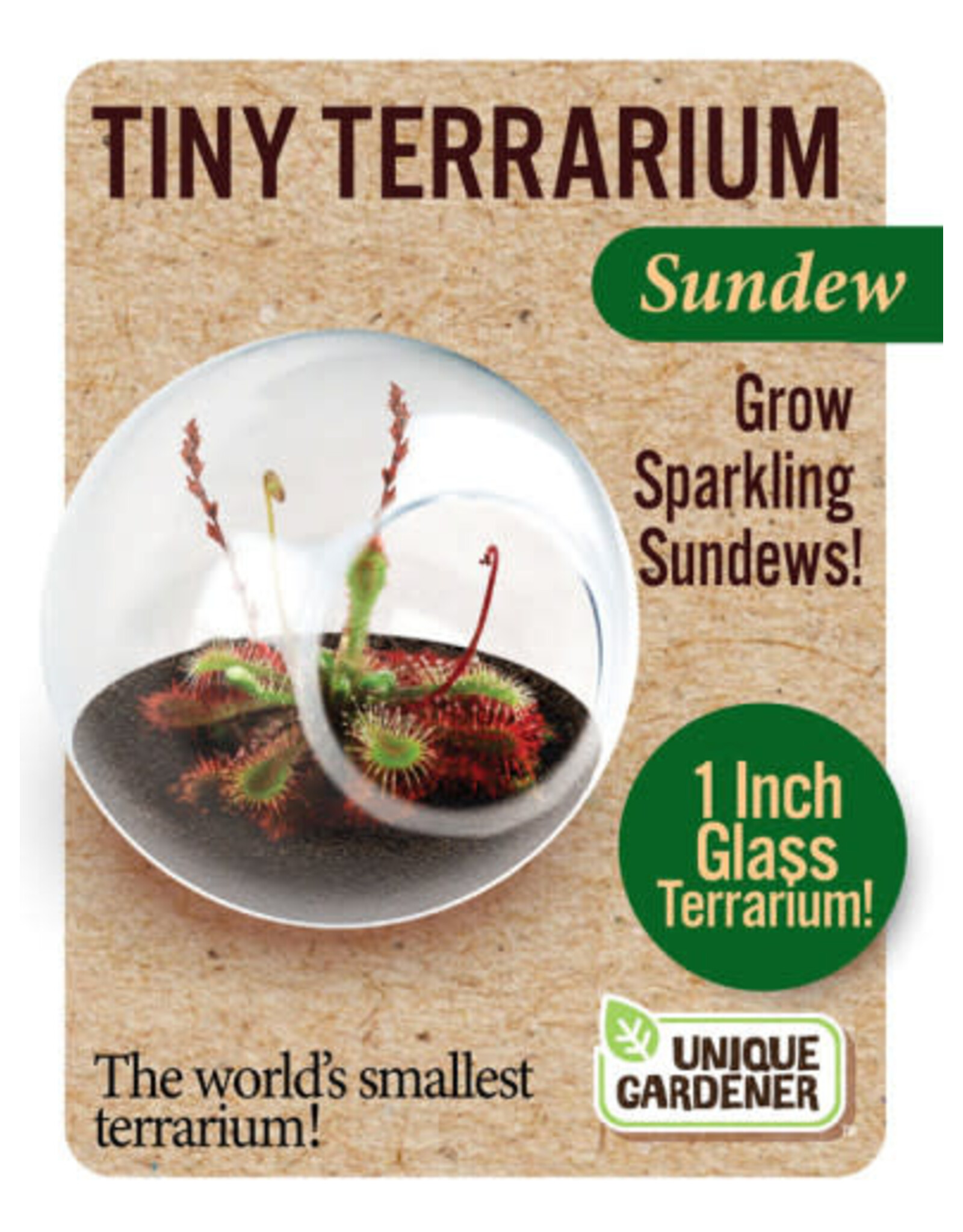 Unique Gardner Tiny Terrarium Sundew