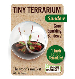 Unique Gardner Tiny Terrarium Sundew