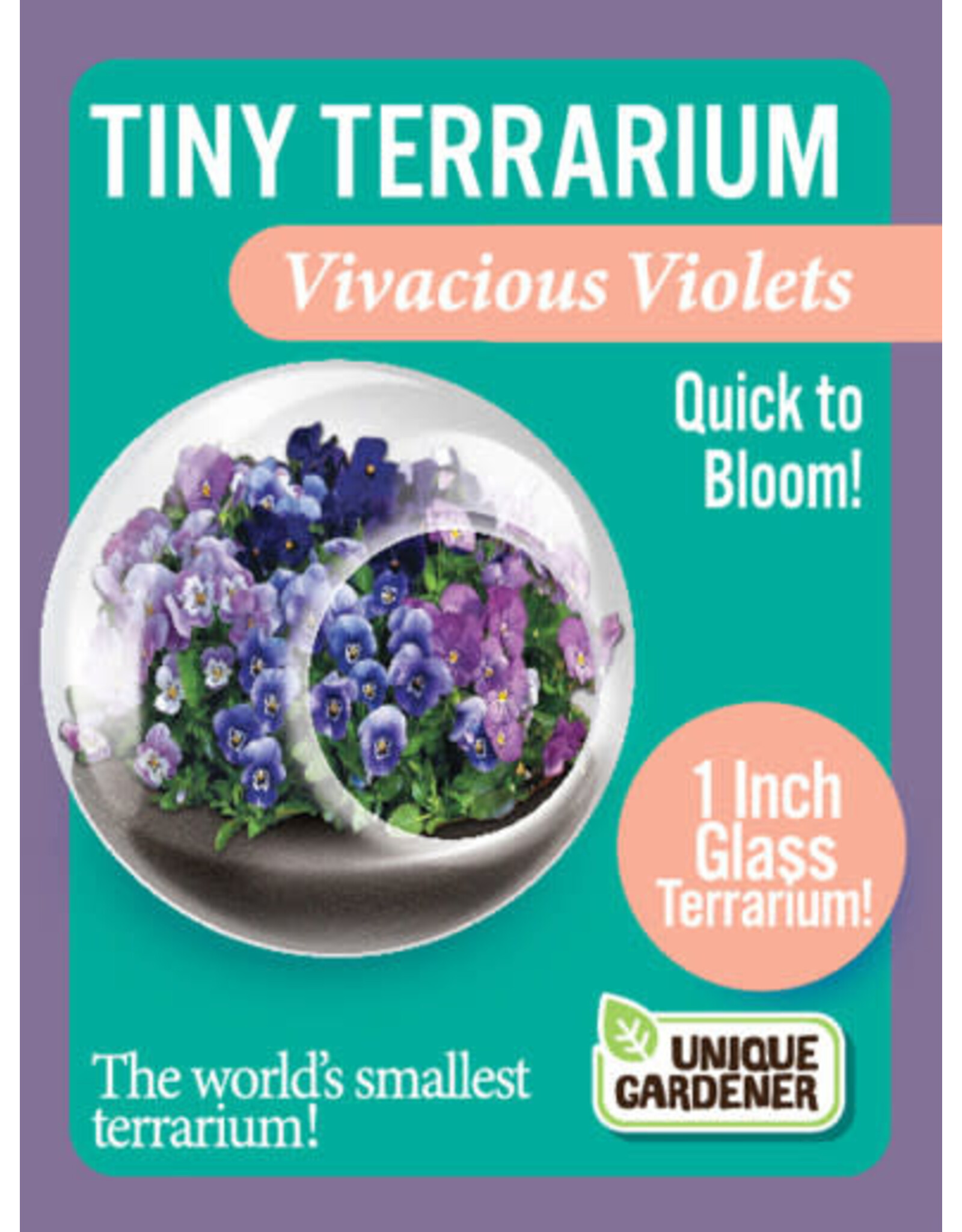 Unique Gardner Tiny Terrarium Vivacious Violets