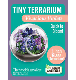 Unique Gardner Tiny Terrarium Vivacious Violets
