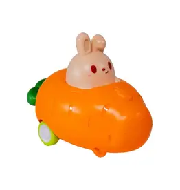 Toysmith Push 'N Go Bunny