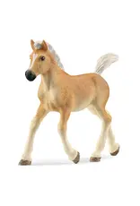 Schleich Haflinger Foal