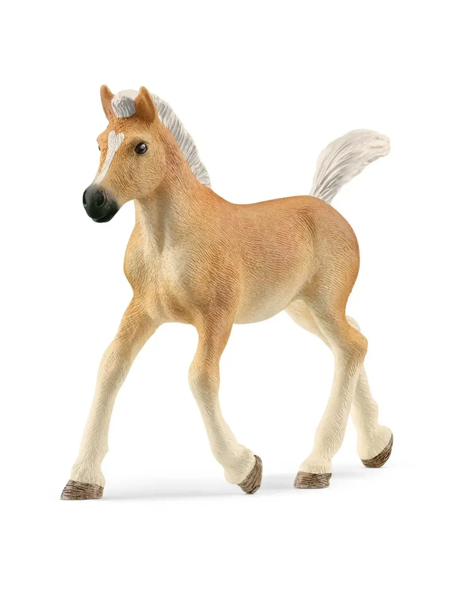 Schleich Haflinger Foal